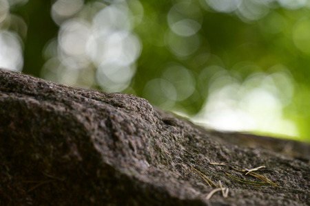 bokeh