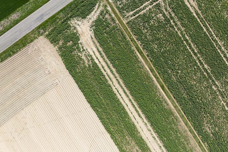 dji2