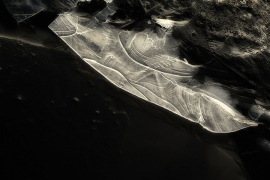 L1020541_str